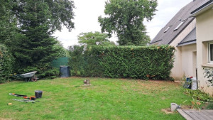 Photo de galerie - Taille de haies et d'arbustes