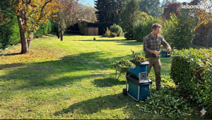 Photo de galerie - Elagage et coupe d'arbres