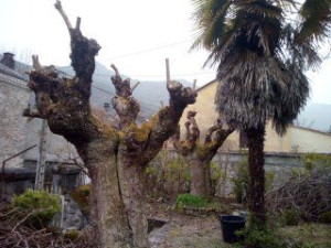 Photo de galerie - Après !