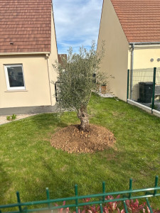 Photo de galerie - Paysagiste - Aménagement du jardin