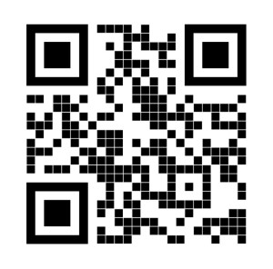 Photo de galerie - Terrassement - Assainissement