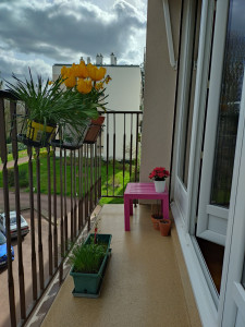 Photo de galerie - Nettoyage et fleurissement d'un balcon 