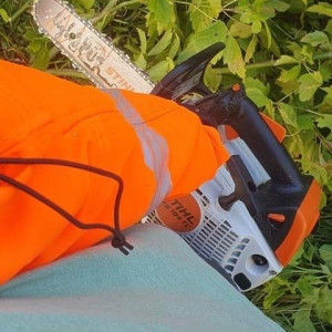 Photo de galerie - Elagage et coupe d'arbres