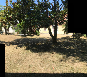 Photo de galerie - DEBROUSSAILLAGE APRES