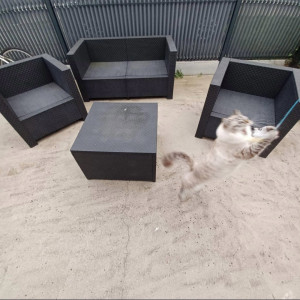 Photo de galerie - Séance de jeux et d’activité sportive 