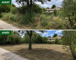 Photo de galerie - Tonte de pelouse - Débroussaillage
