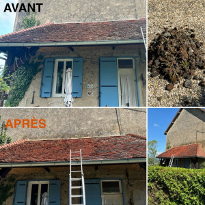 Photo de galerie - Nettoyage toiture 