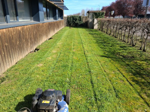 Photo de galerie - Tonte de pelouse 