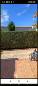 Photo de galerie - Taille haie