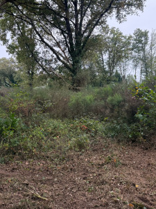 Photo de galerie - Avant notre passage 