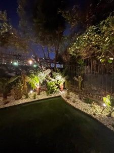 Photo de galerie - Jardin japonais de nuit 