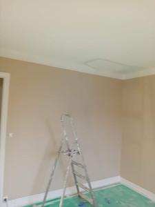 Photo de galerie - Peinture 