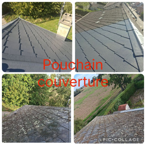 Photo de galerie - Nettoyage de toiture. 
application d'une peinture protectrice. 
