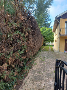 Photo de galerie - Après rabattage