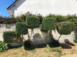 Photo de galerie - Taille