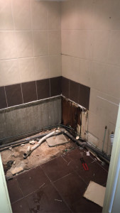 Photo de galerie - Salle de bain avant 