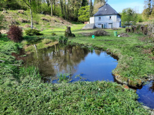 Photo de galerie - Tonte autour bassin