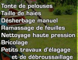 Photo de galerie - Entretien de jardin 