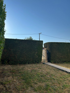 Photo de galerie - Taille de haie