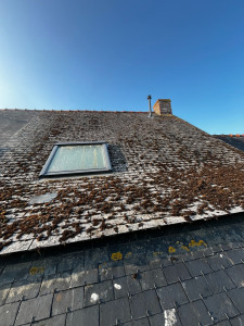 Photo de galerie - Démoussage toiture