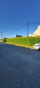 Photo de galerie - Taille de haies et d'arbustes