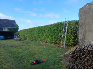 Photo de galerie - Chantier, janvier 2026