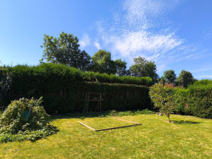 Photo de galerie - Taille de haie