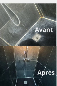 Photo de galerie - Nettoyage de douche + changement de joint
