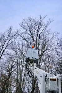 Photo de galerie - Intervention avec nacelle ! 
