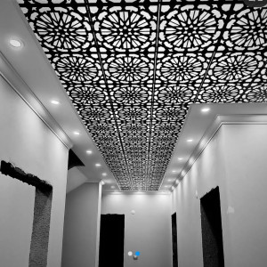 Photo de galerie - Déco plafond clipsable 