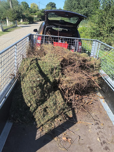 Photo de galerie - évacuation des déchets verts 