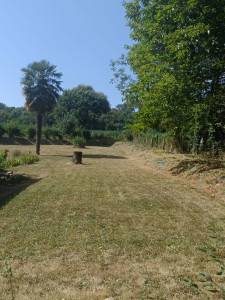 Photo de galerie - Tonte et débroussaillage du talus