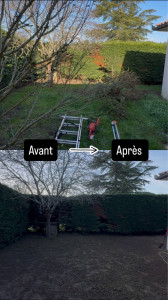 Photo de galerie - Lors de ce chantier, j’ai effectué la taille de la haie puis la réalisation du gazon.
