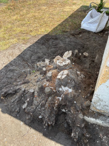 Photo de galerie - Elagage et coupe d'arbres