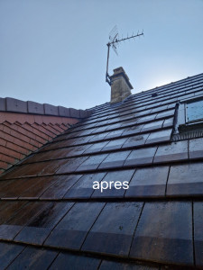 Photo de galerie - Demoussage apres produit