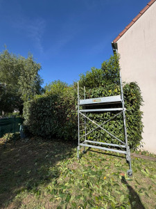 Photo de galerie - Taille de haies et d'arbustes