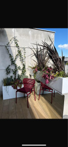 Photo de galerie - Terrasse /Miroir/Plantation /Vegecable 