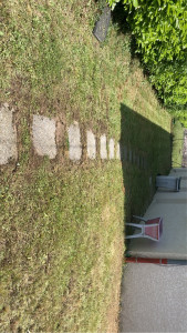 Photo de galerie - Tonte de pelouse - Débroussaillage