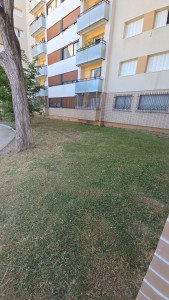 Photo de galerie - Tonte de pelouse - Débroussaillage