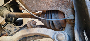 Photo de galerie - Ça a l'air bien.