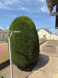 Photo de galerie - Taille