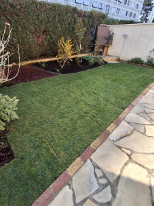 Photo de galerie - Paysagiste - Aménagement du jardin