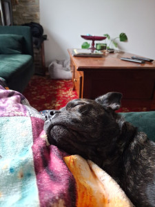 Photo de galerie - Edgar - 3 ans