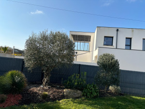 Photo de galerie - Résultat final 