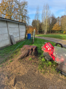 Photo de galerie - Rabotage de souche