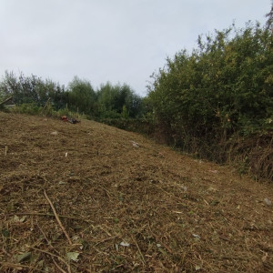 Photo de galerie - Tonte de pelouse - Débroussaillage