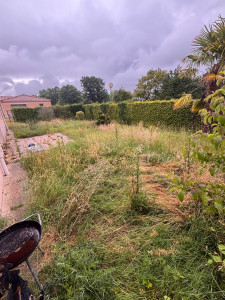 Photo de galerie - Tonte de pelouse - Débroussaillage