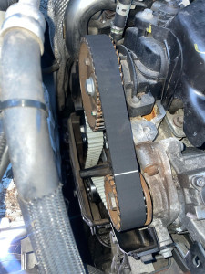 Photo de galerie - Distribution 