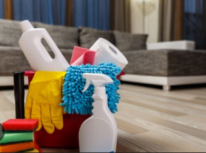 Photo de galerie - Bonjour, je propose des services de repassage et de services divers à domicile. Je suis une personne sérieuse, organisée et de confiance. Je travaille avec soin et m’adapte à vos besoins. N’hésitez pas à me contacter pour plus d’informations.