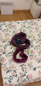 Photo de galerie - Ménage, changement de draps ... 